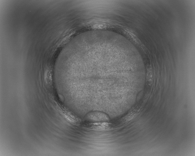 X0000059220363200511111528