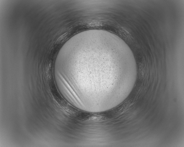X0000059220364200511111528