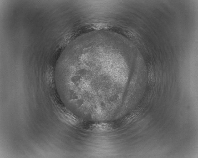 X0000059220367200511111528
