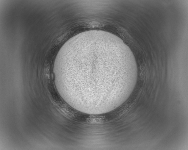 X0000059220368200511111528
