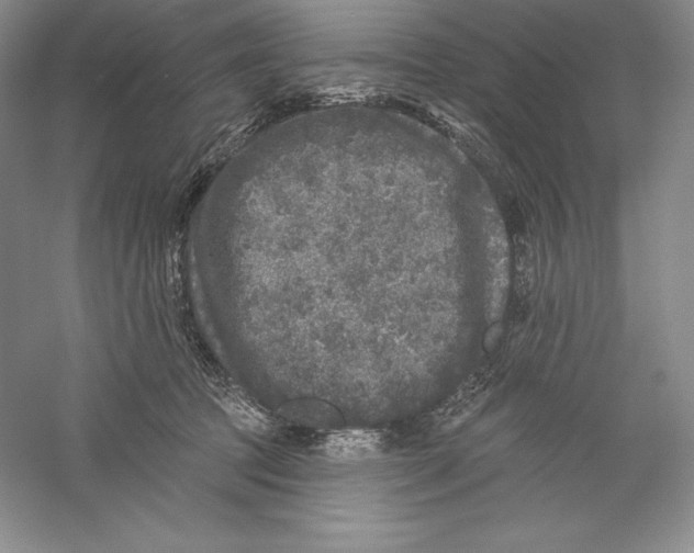X0000059220369200511111528