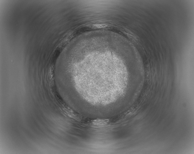 X0000059220373200511111528
