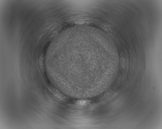 X0000059220375200511111528