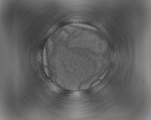 X0000059220382200511111528