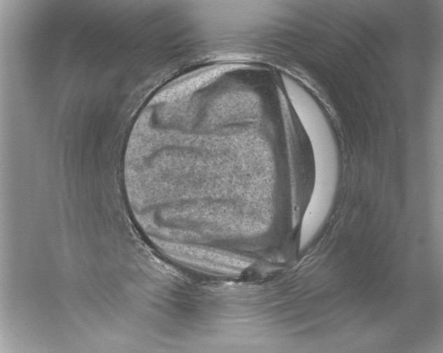 X0000059220385200511111527