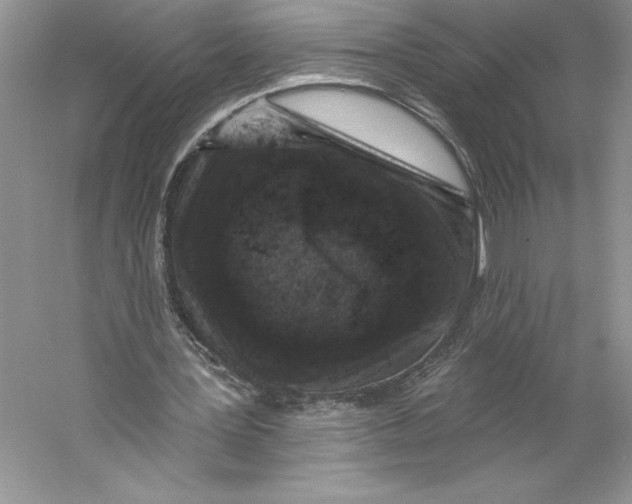 X0000059220387200511111527