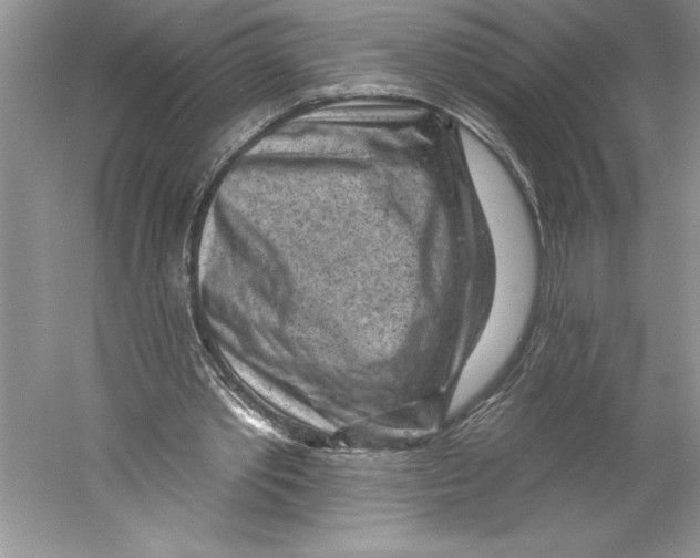 X0000059220389200511111527