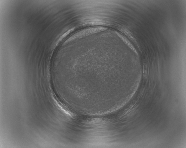 X0000059220390200511111527