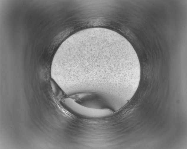 X0000059220393200511111527