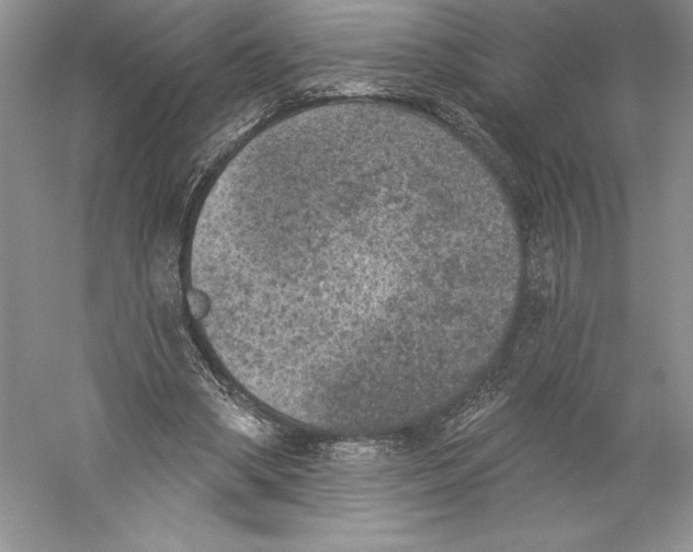 X0000059220394200511111527