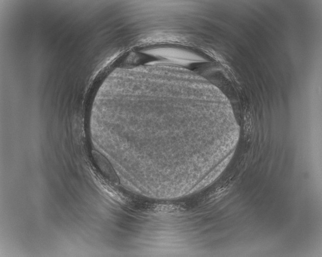 X0000059220399200511111527