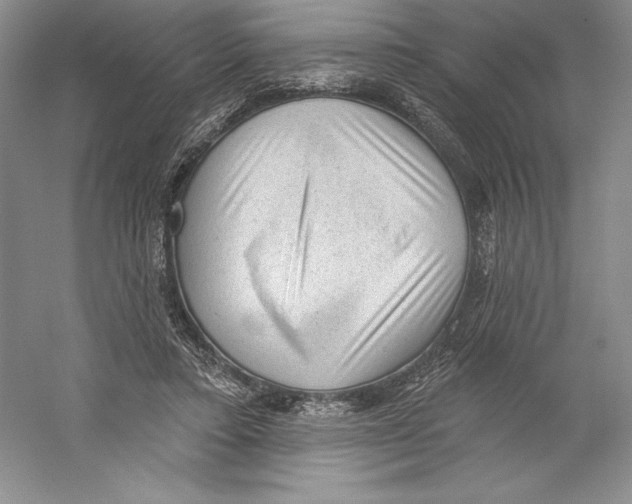 X0000059220403200511111527