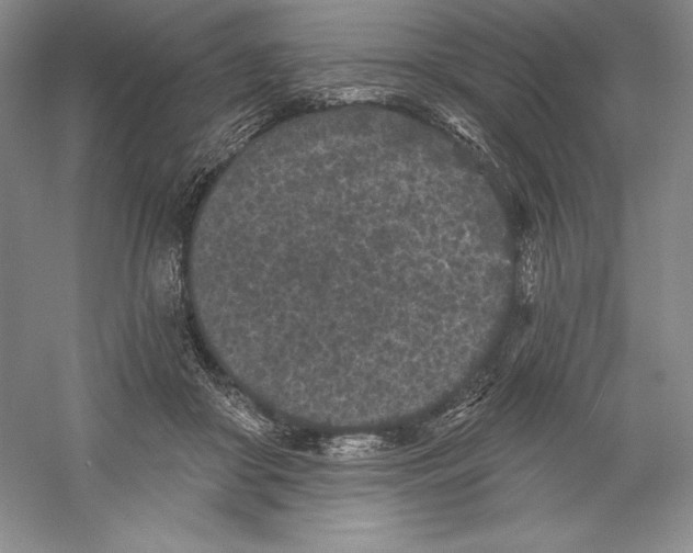 X0000059220410200511111527