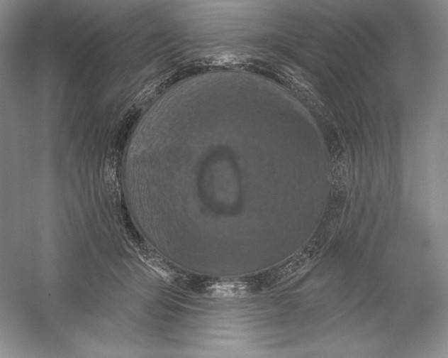 X0000059220415200511111527