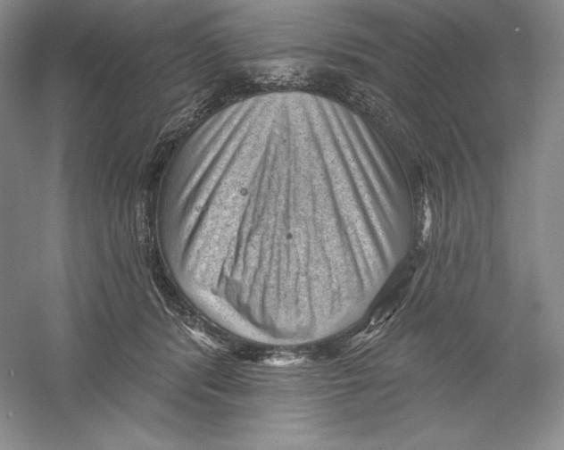 X0000059220416200511111527