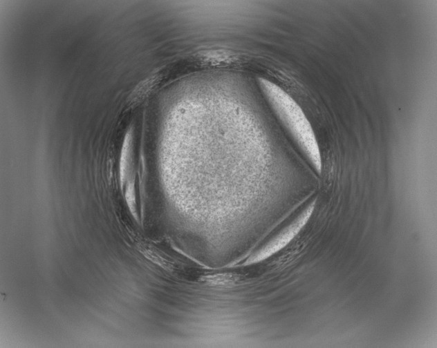 X0000059220417200511111527