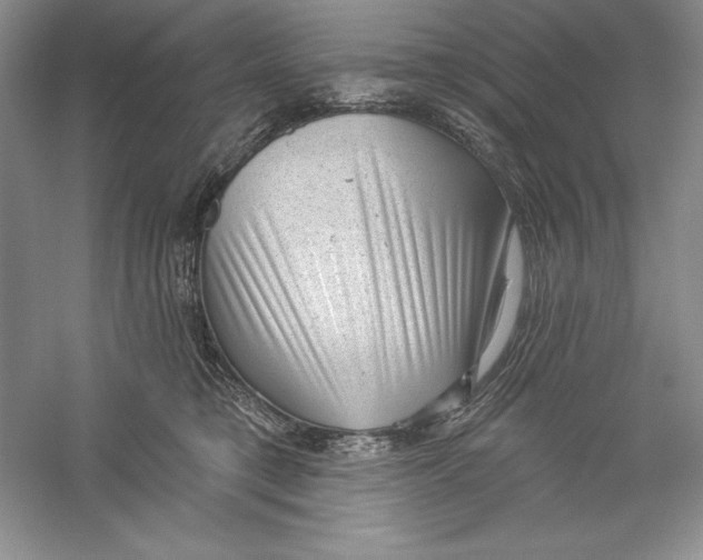 X0000059220421200511111527