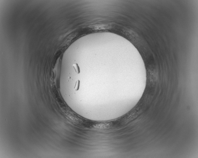 X0000059220422200511111527
