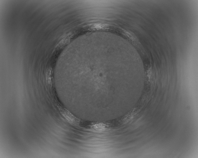 X0000059220423200511111527