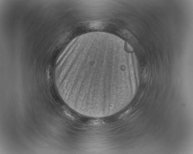 X0000059220424200511111527