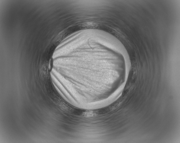 X0000059220425200511111527