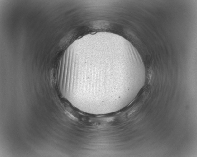 X0000059220428200511111527