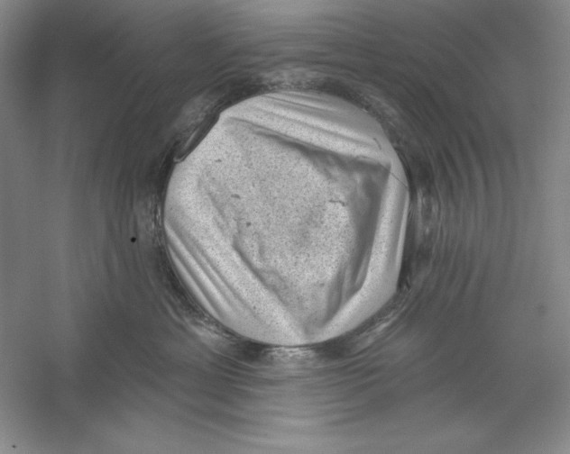 X0000059220429200511111527