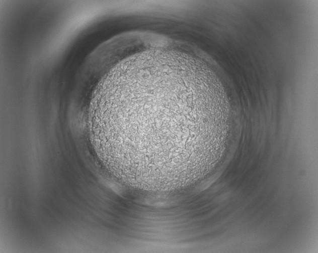 X0000059220431200511111527