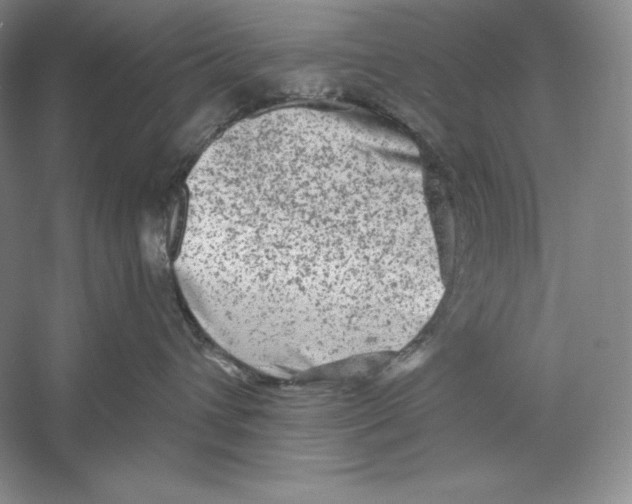 X0000059220432200511111527