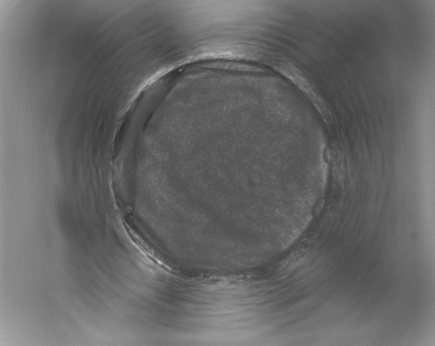 X0000059220434200511111526