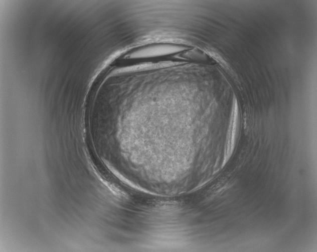 X0000059220438200511111526