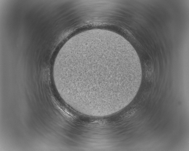 X0000059220447200511111526
