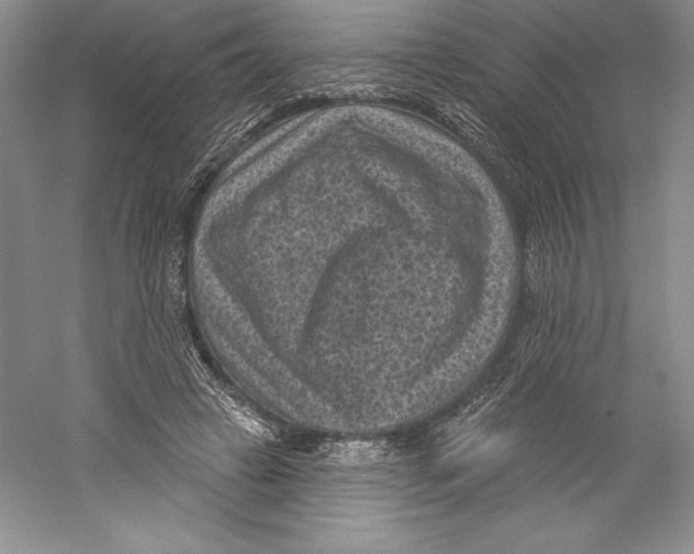 X0000059220449200511111526
