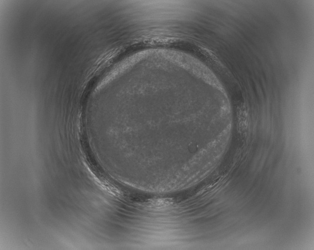 X0000059220451200511111526
