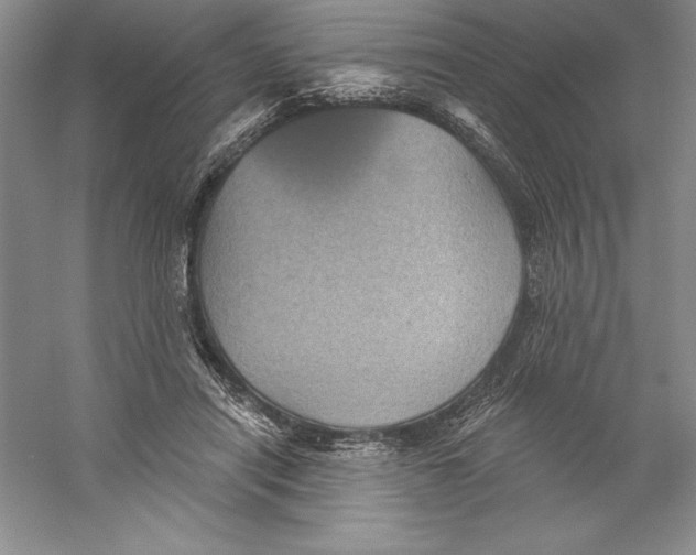 X0000059220454200511111526