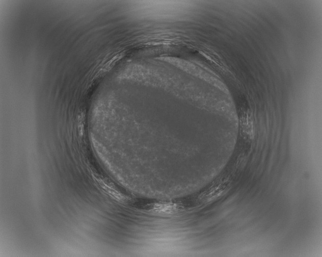 X0000059220458200511111526