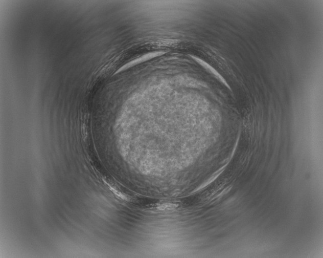 X0000059220462200511111526