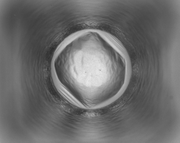 X0000059220464200511111526