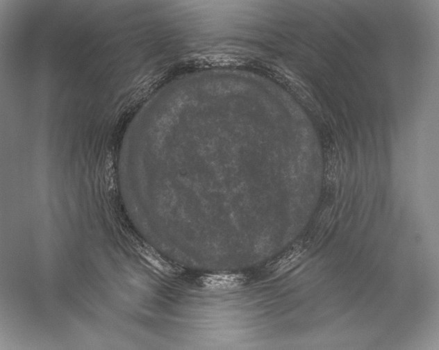 X0000059220465200511111526