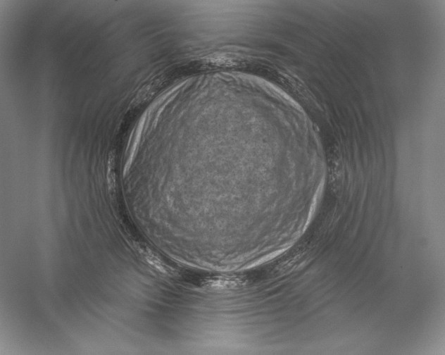 X0000059220466200511111526