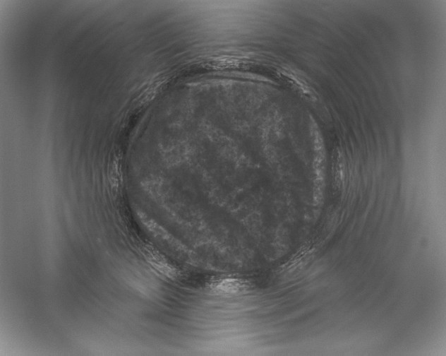 X0000059220467200511111526