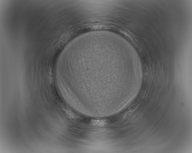 X0000059220469200511111526