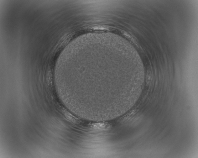 X0000059220473200511111527