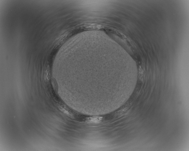 X0000059220474200511111527