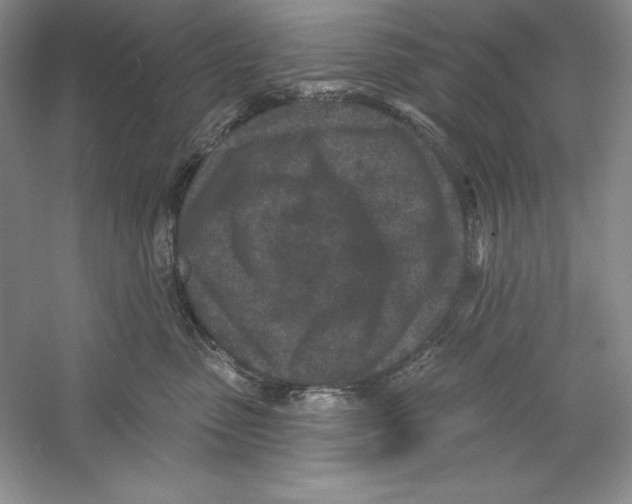 X0000059220475200511111527