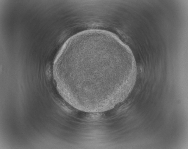 X0000059220479200511111527