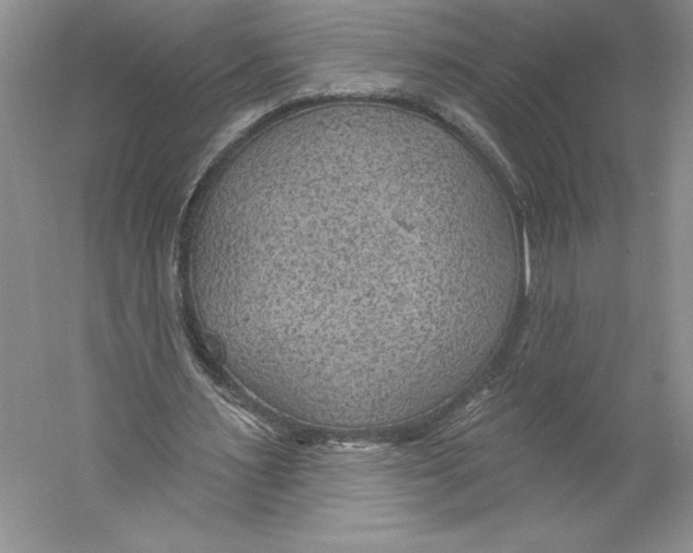 X0000059220483200511111526