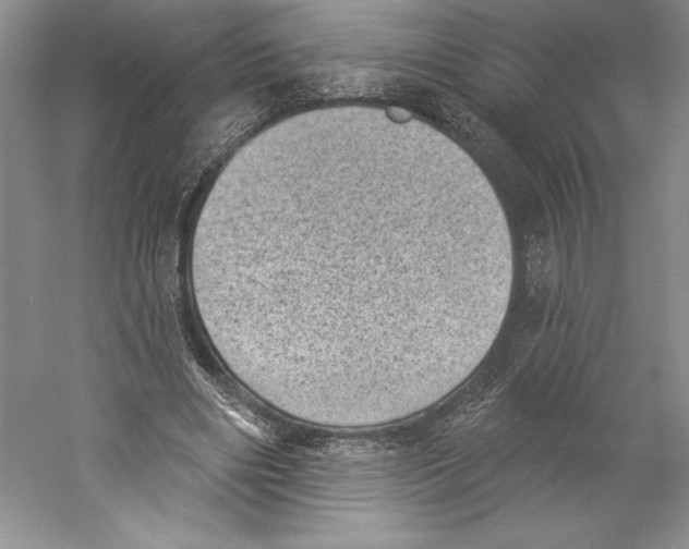 X0000059220490200511111526