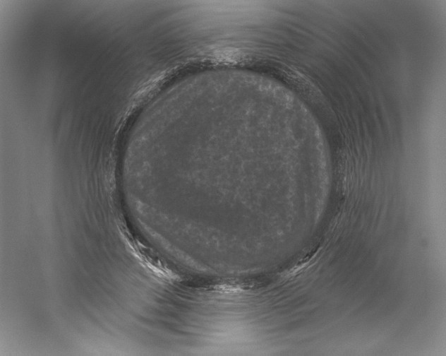 X0000059220496200511111526