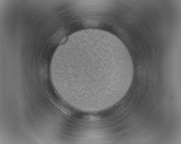 X0000059220498200511111526